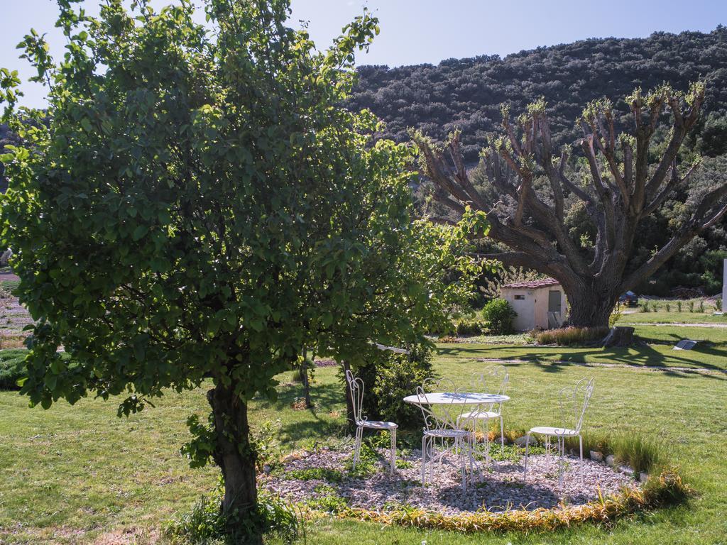 Le Mas De La Fontaine Bed & Breakfast Le Pegue Екстериор снимка
