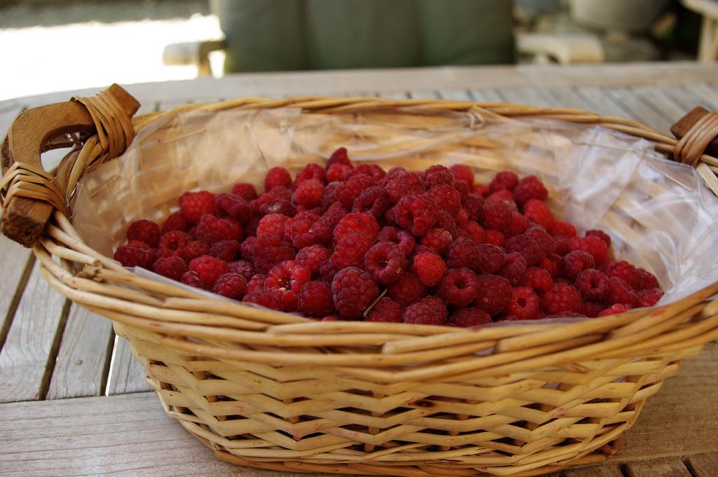 Le Mas De La Fontaine Bed & Breakfast Le Pegue Екстериор снимка